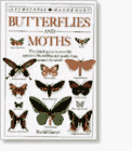 Butterflies and moths