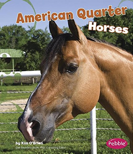 American quarter horses